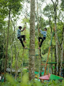 Ladder Climbing munnar