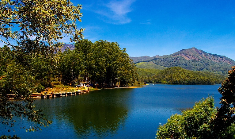 best Places to Visit in Munnar
