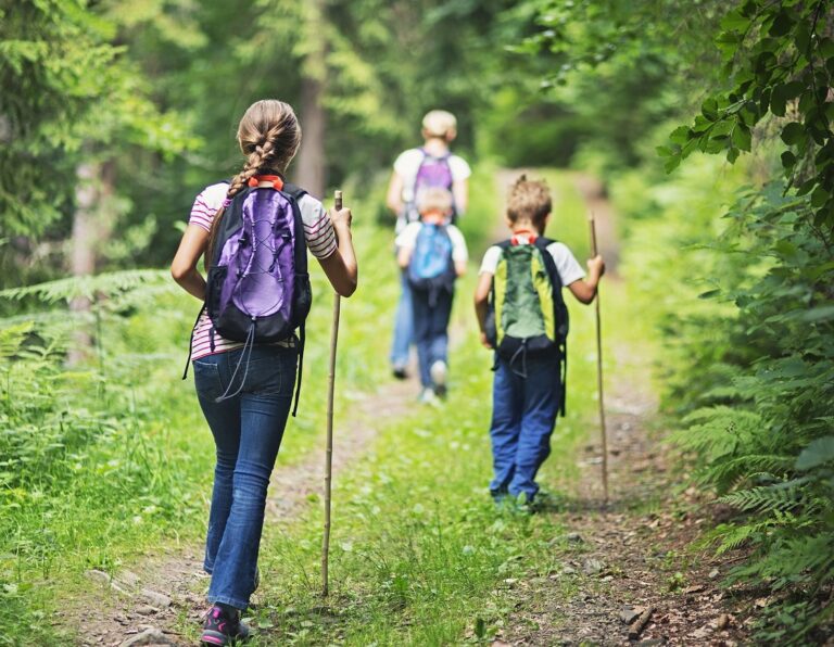 5 Surprising Benefits of Natural Walks