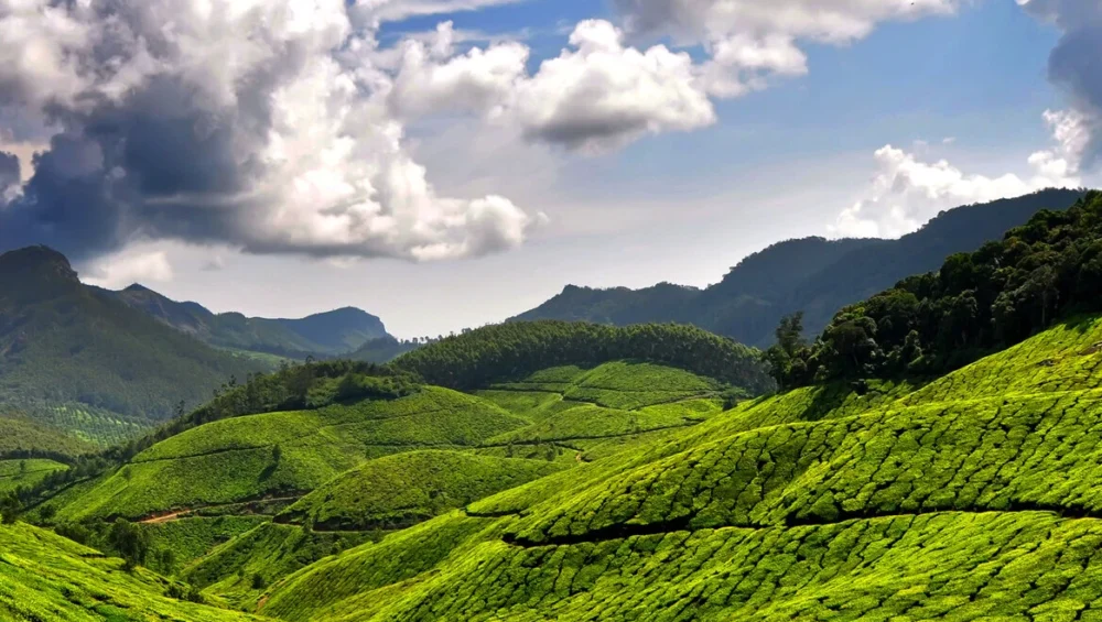 Facts about Munnar