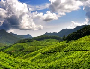 Facts about Munnar