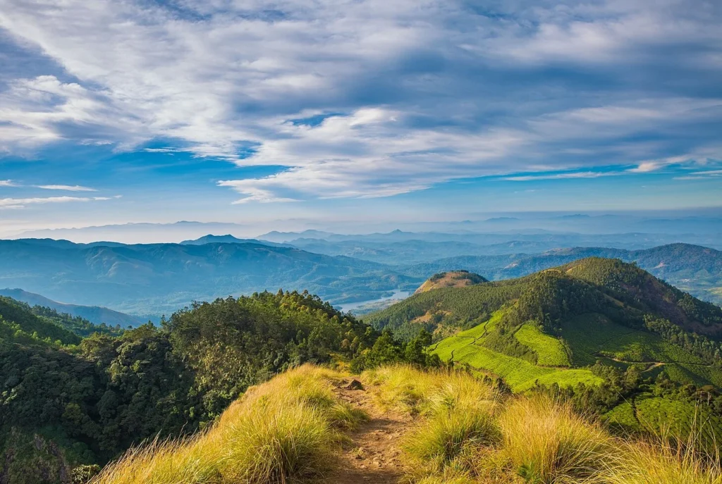 Things to do in Munnar