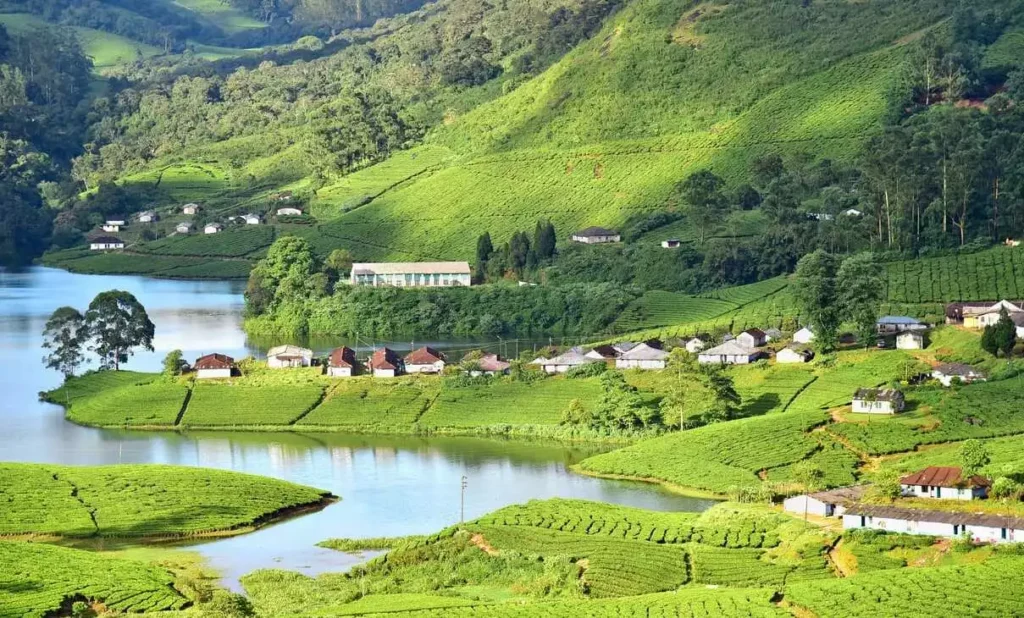 Munnar travel tips 