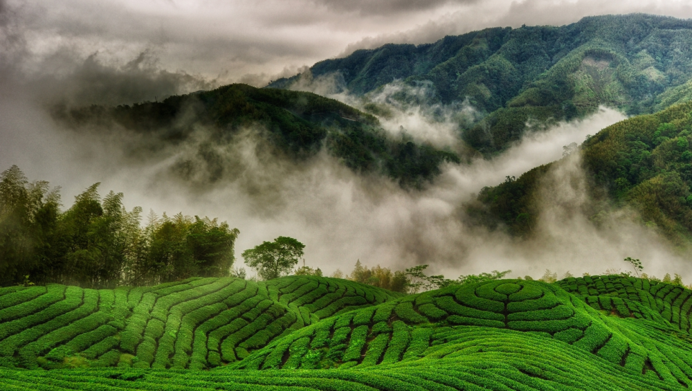 Munnar Weather