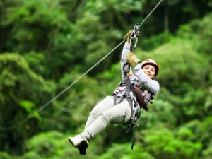 Ziplining Adventure