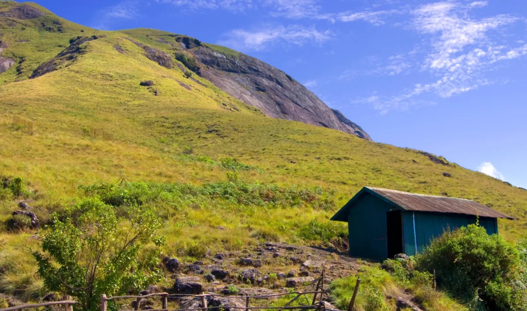 Eravikulam National Park