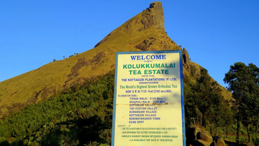 Kolukkumalai Tea Estate