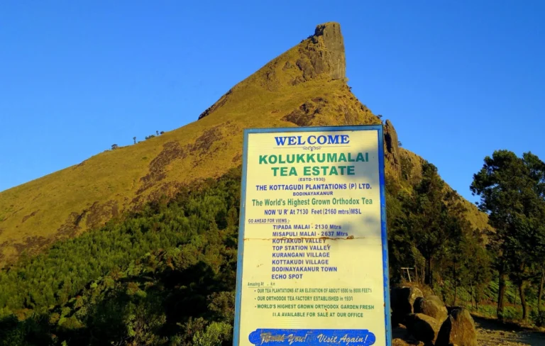 Kolukkumalai Tea Estate: A Journey Through India’s Highest Tea Plantation