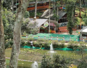 How Adventure Parks in Kerala Promote Eco-Friendly Tourism