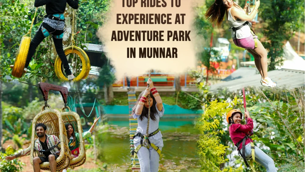 Top Rides To Experience At Adventure Park In Munnar