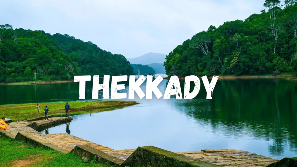 Places to Visit in Kerala