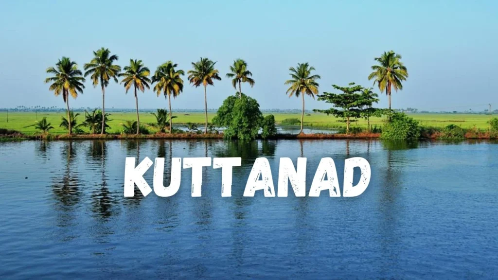 Best Places to Visit in Kerala