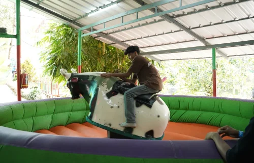 BULL RIDE BULL RIDE