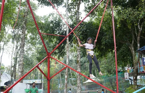 BUNGEE TRAMPOLINE (2) BUNGEE TRAMPOLINE (2)