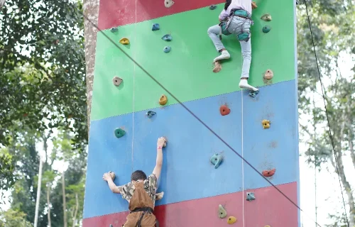 CLIMBING WALL (2) CLIMBING WALL (2)